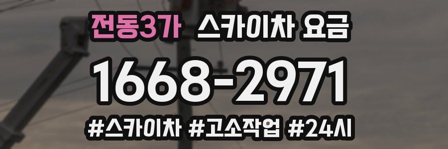 전동3가 스카이차 요금