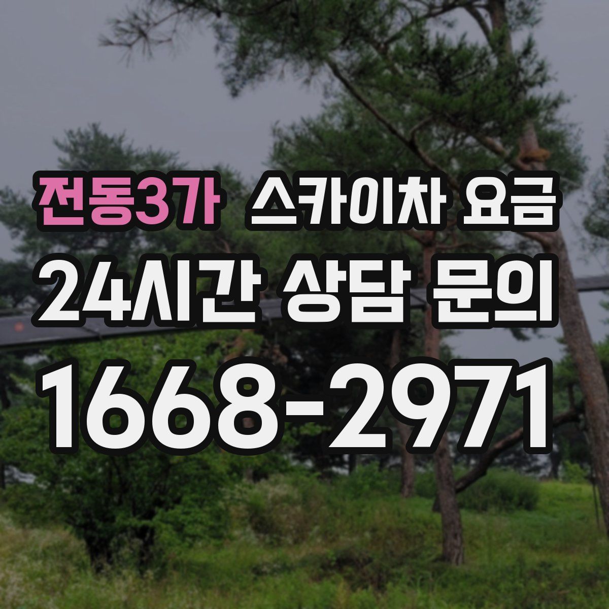 전동3가 스카이차 요금
