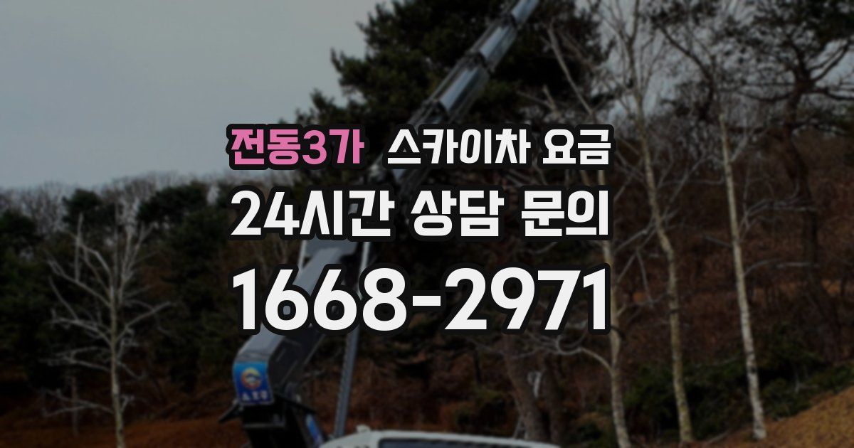 전동3가 스카이차 요금