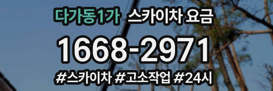 다가동1가 스카이차 요금