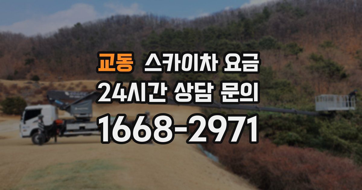 교동 스카이차 요금