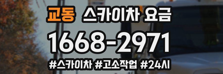 교동 스카이차 요금