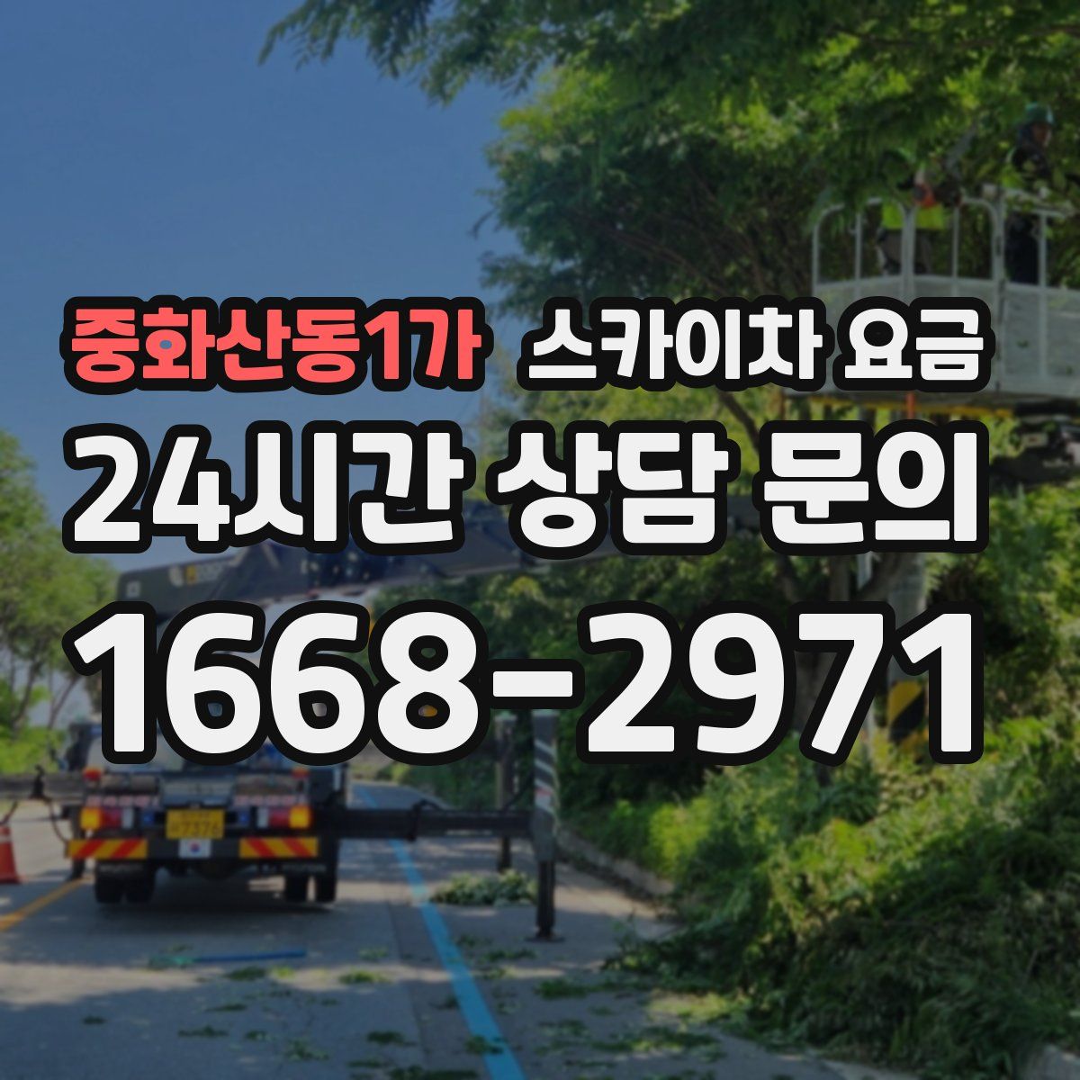 중화산동1가 스카이차 요금