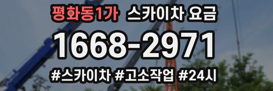 평화동1가 스카이차 요금