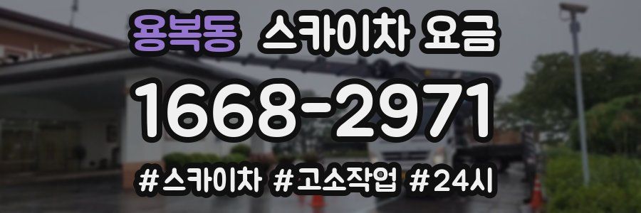 용복동 스카이차 요금