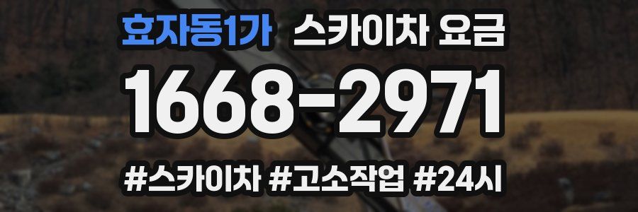 효자동1가 스카이차 요금