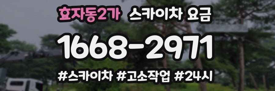 효자동2가 스카이차 요금
