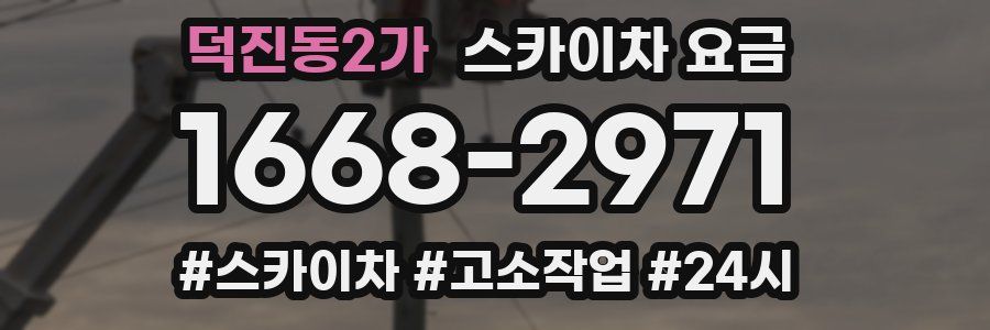 덕진동2가 스카이차 요금