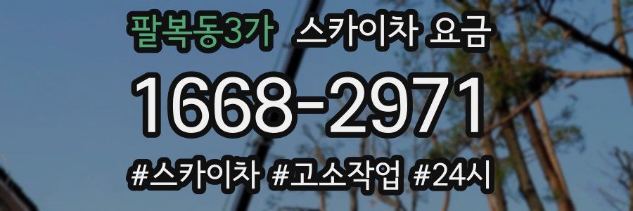 팔복동3가 스카이차 요금