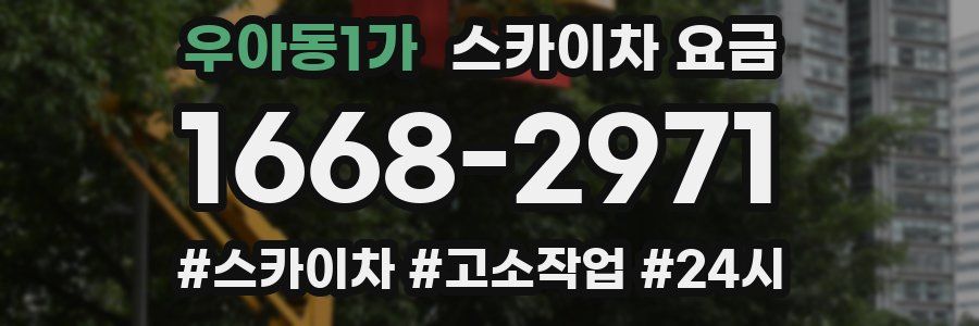 우아동1가 스카이차 요금