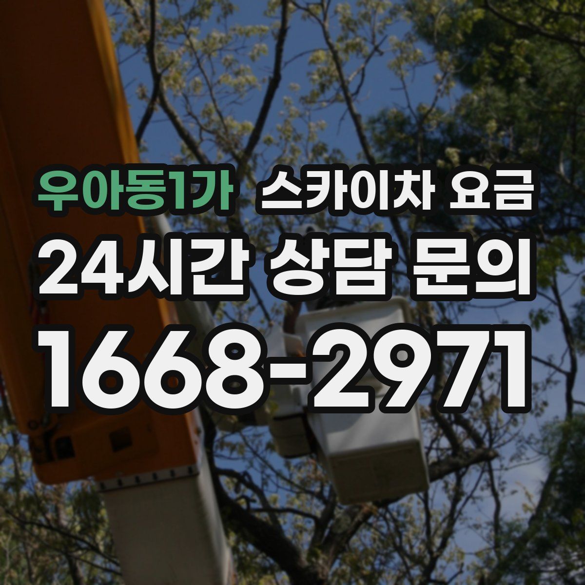 우아동1가 스카이차 요금