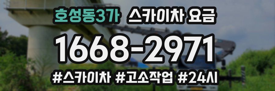 호성동3가 스카이차 요금