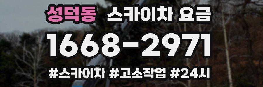 성덕동 스카이차 요금