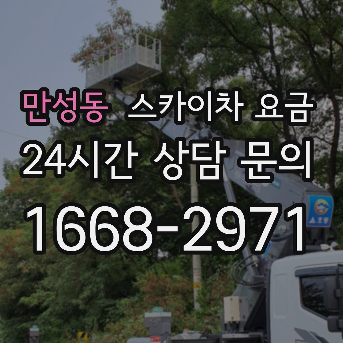 만성동 스카이차 요금