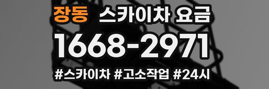 장동 스카이차 요금