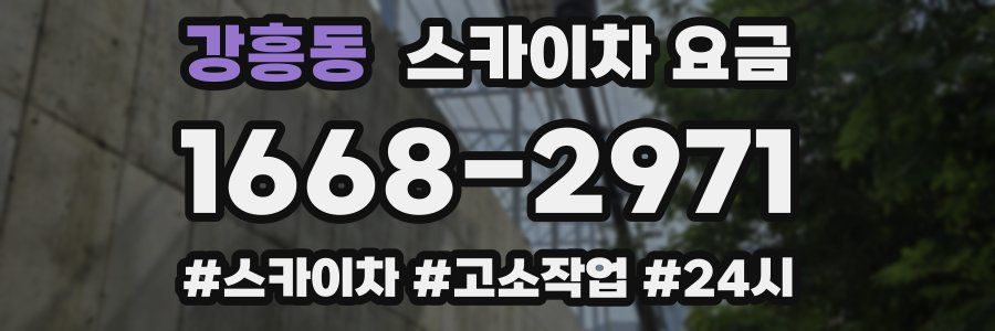 강흥동 스카이차 요금