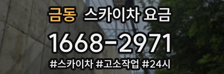 금동 스카이차 요금