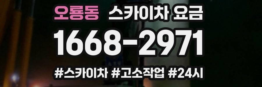 오룡동 스카이차 요금