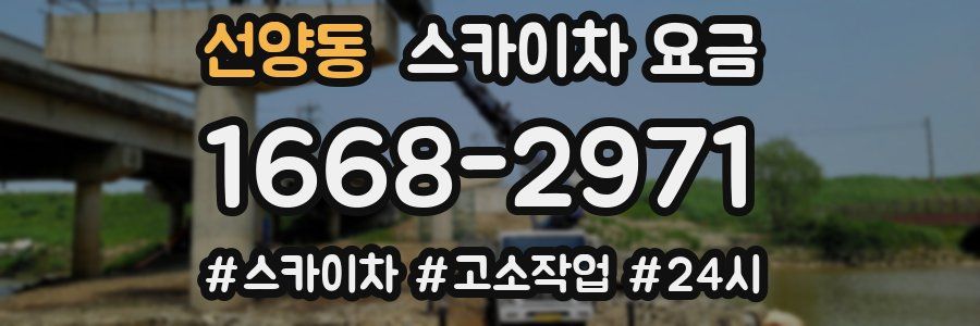 선양동 스카이차 요금