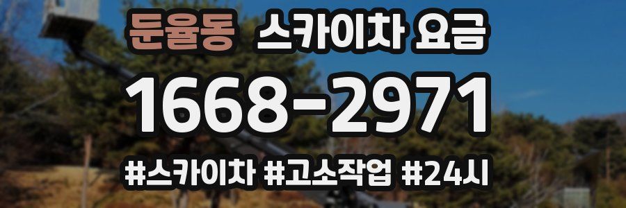 둔율동 스카이차 요금