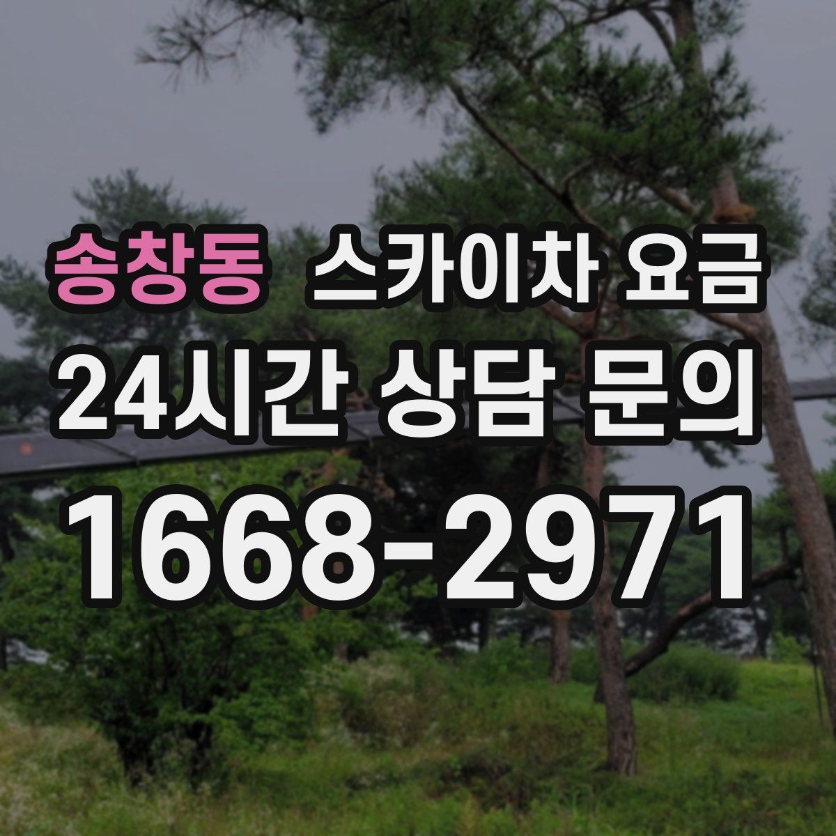 송창동 스카이차 요금