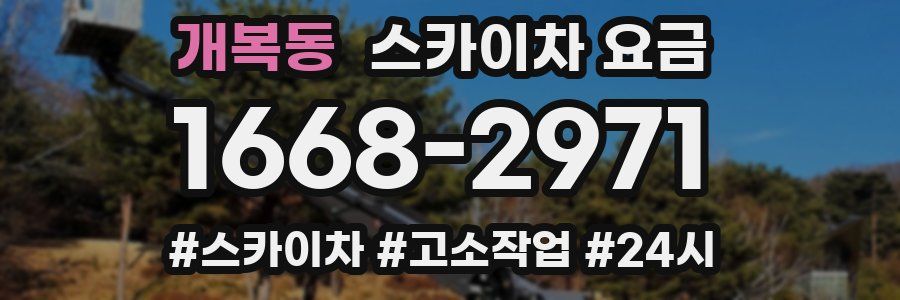 개복동 스카이차 요금
