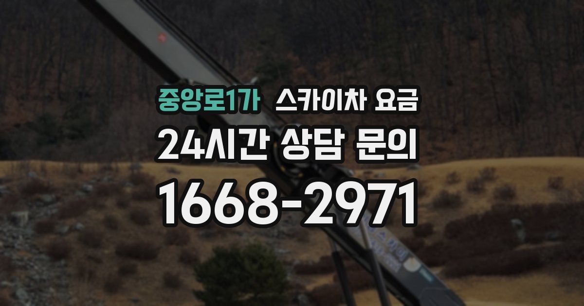 중앙로1가 스카이차 요금