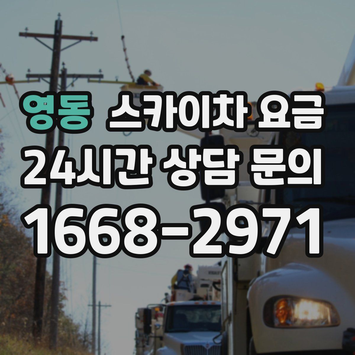 영동 스카이차 요금