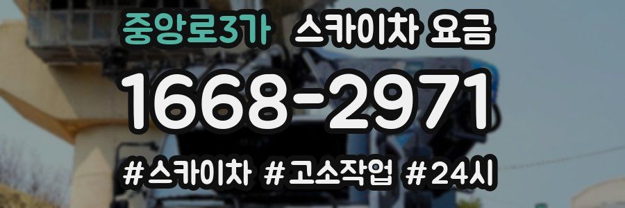 중앙로3가 스카이차 요금