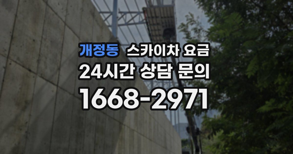 개정동 스카이차 요금