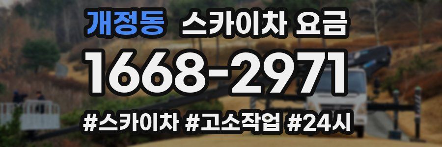 개정동 스카이차 요금
