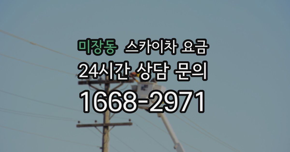 미장동 스카이차 요금