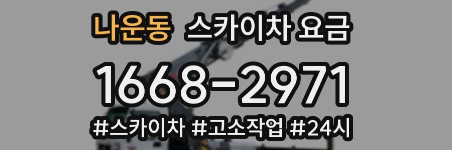 나운동 스카이차 요금