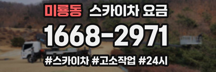 미룡동 스카이차 요금