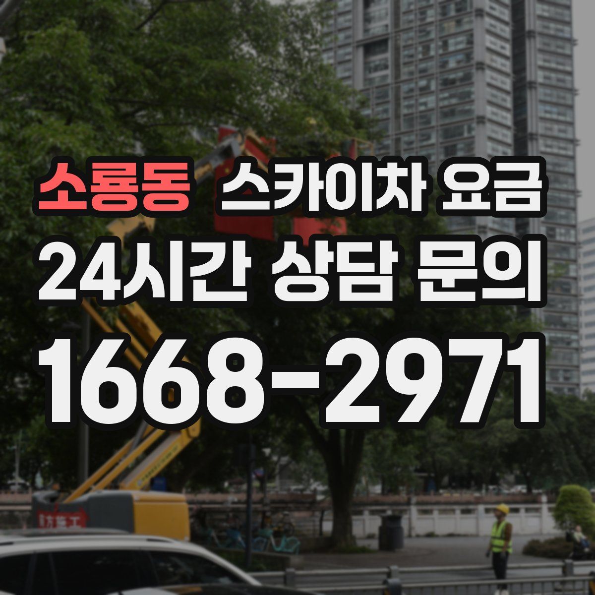 소룡동 스카이차 요금