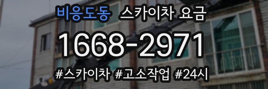 비응도동 스카이차 요금