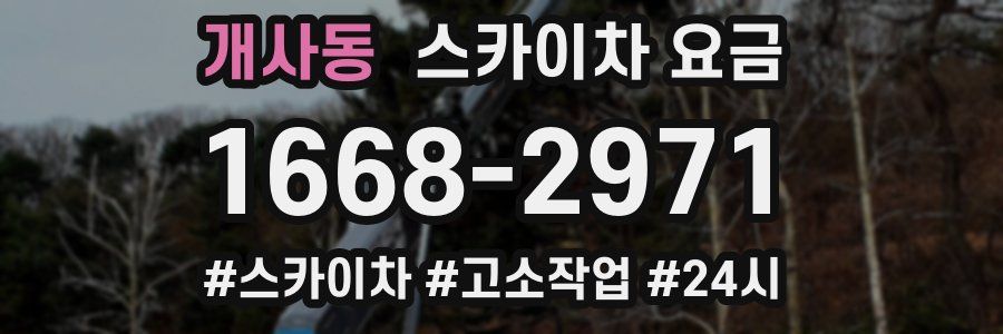 개사동 스카이차 요금