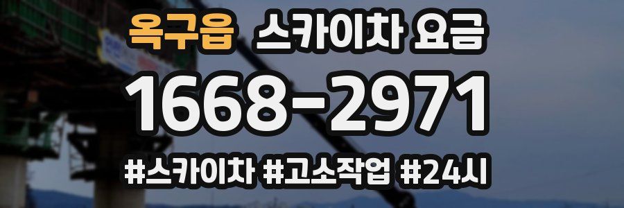 옥구읍 스카이차 요금