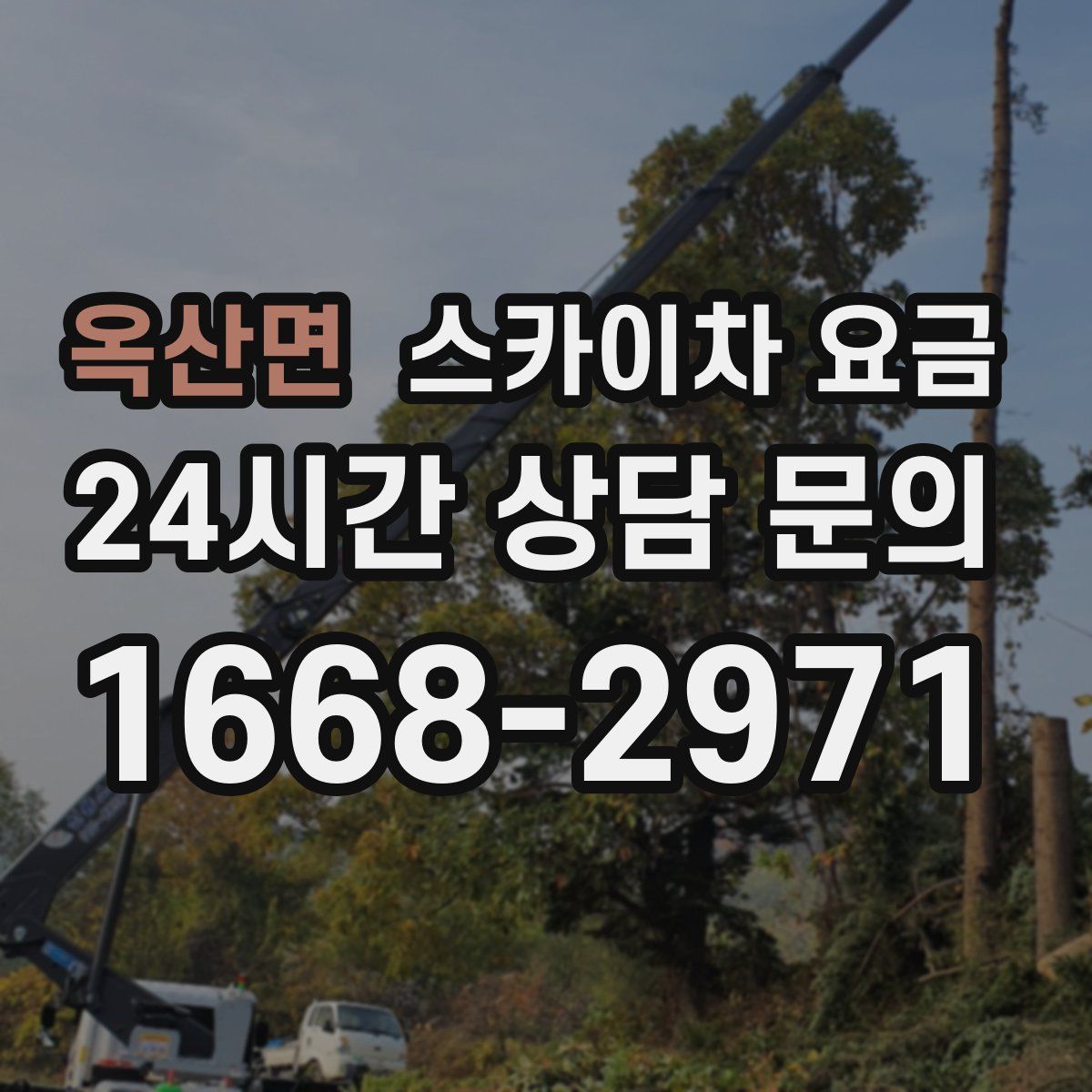 옥산면 스카이차 요금