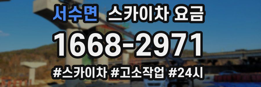 서수면 스카이차 요금
