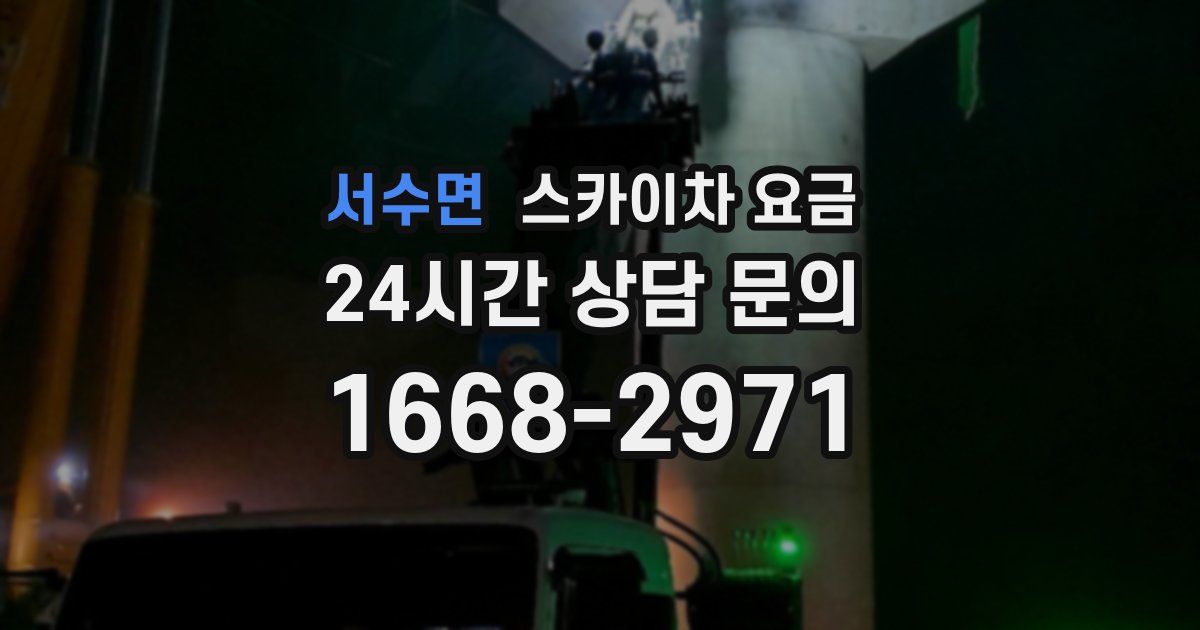 서수면 스카이차 요금