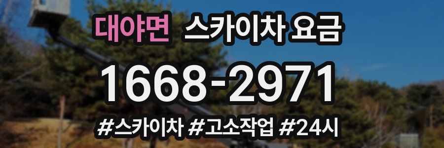 대야면 스카이차 요금