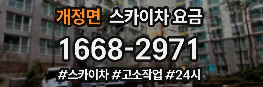 개정면 스카이차 요금
