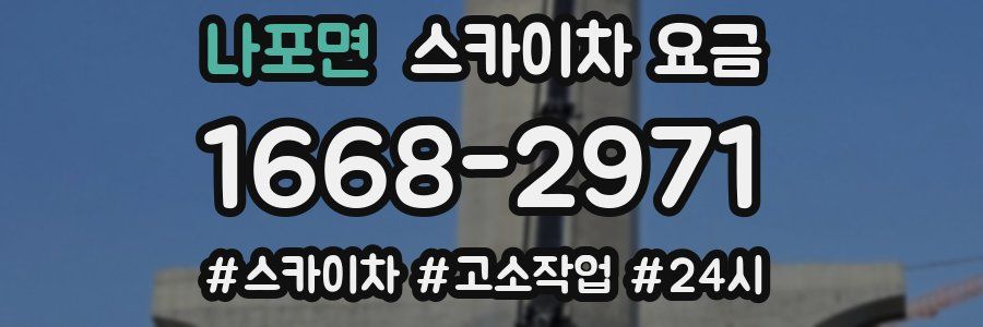 나포면 스카이차 요금