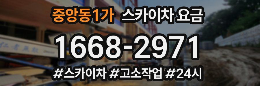 중앙동1가 스카이차 요금