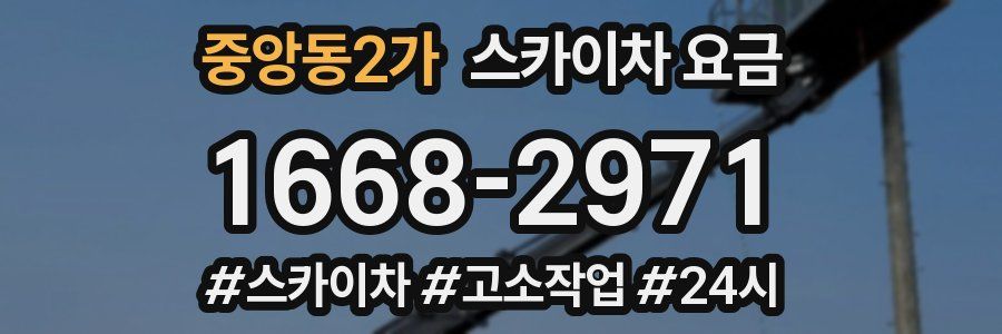 중앙동2가 스카이차 요금