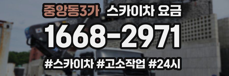중앙동3가 스카이차 요금