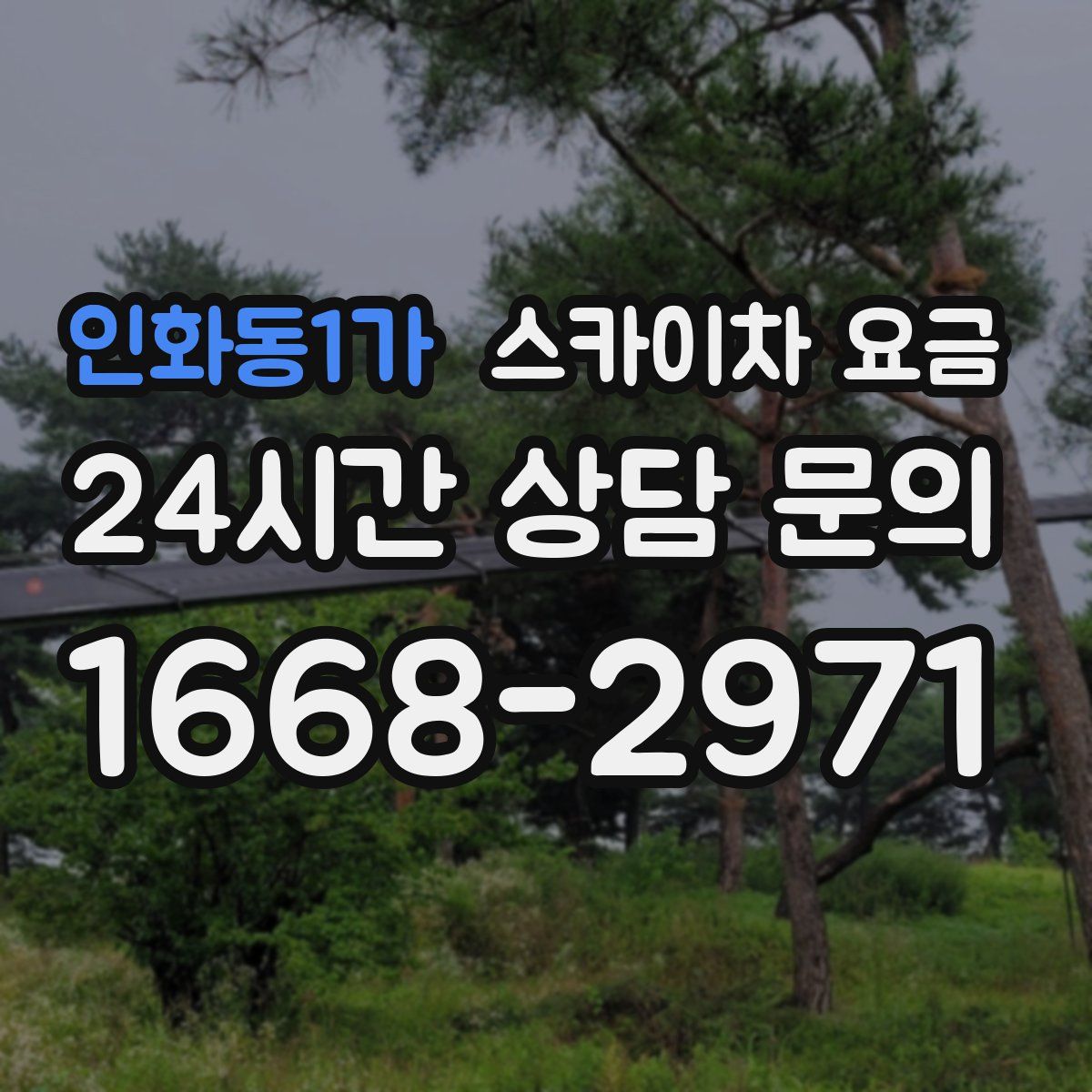인화동1가 스카이차 요금