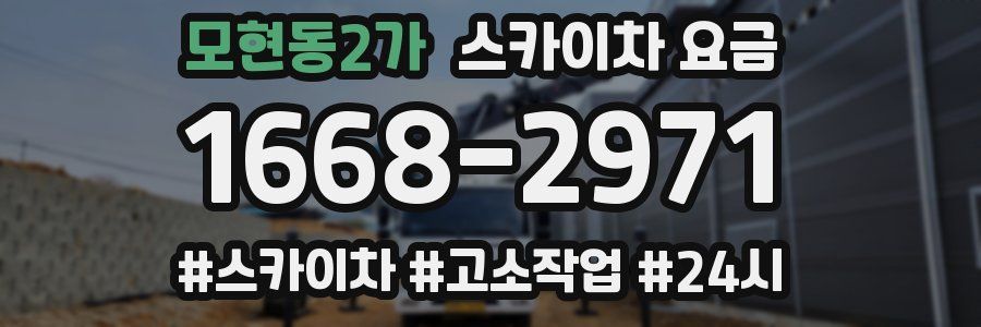 모현동2가 스카이차 요금