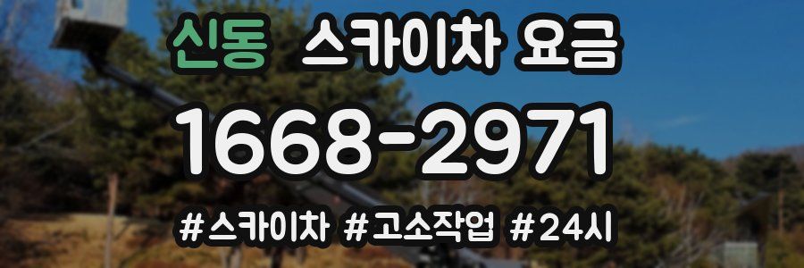 신동 스카이차 요금